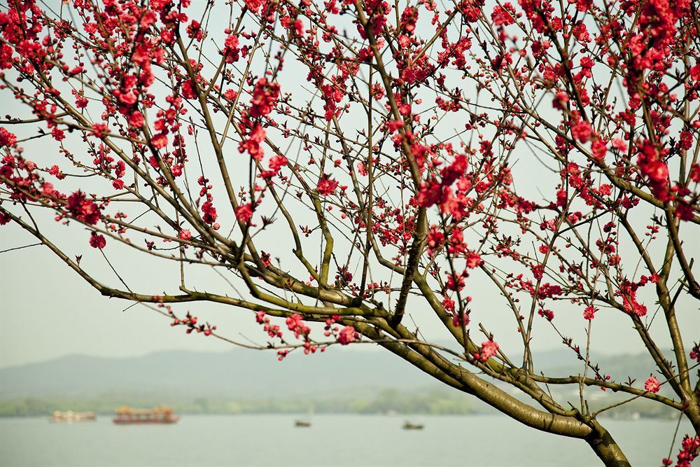 Liuying Hotel West Lake Hangzhou Luaran gambar